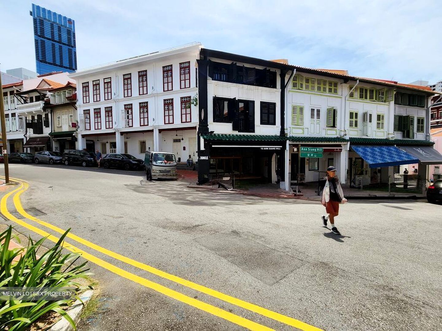 Telok Ayer Street (D1), Shop House #497562891